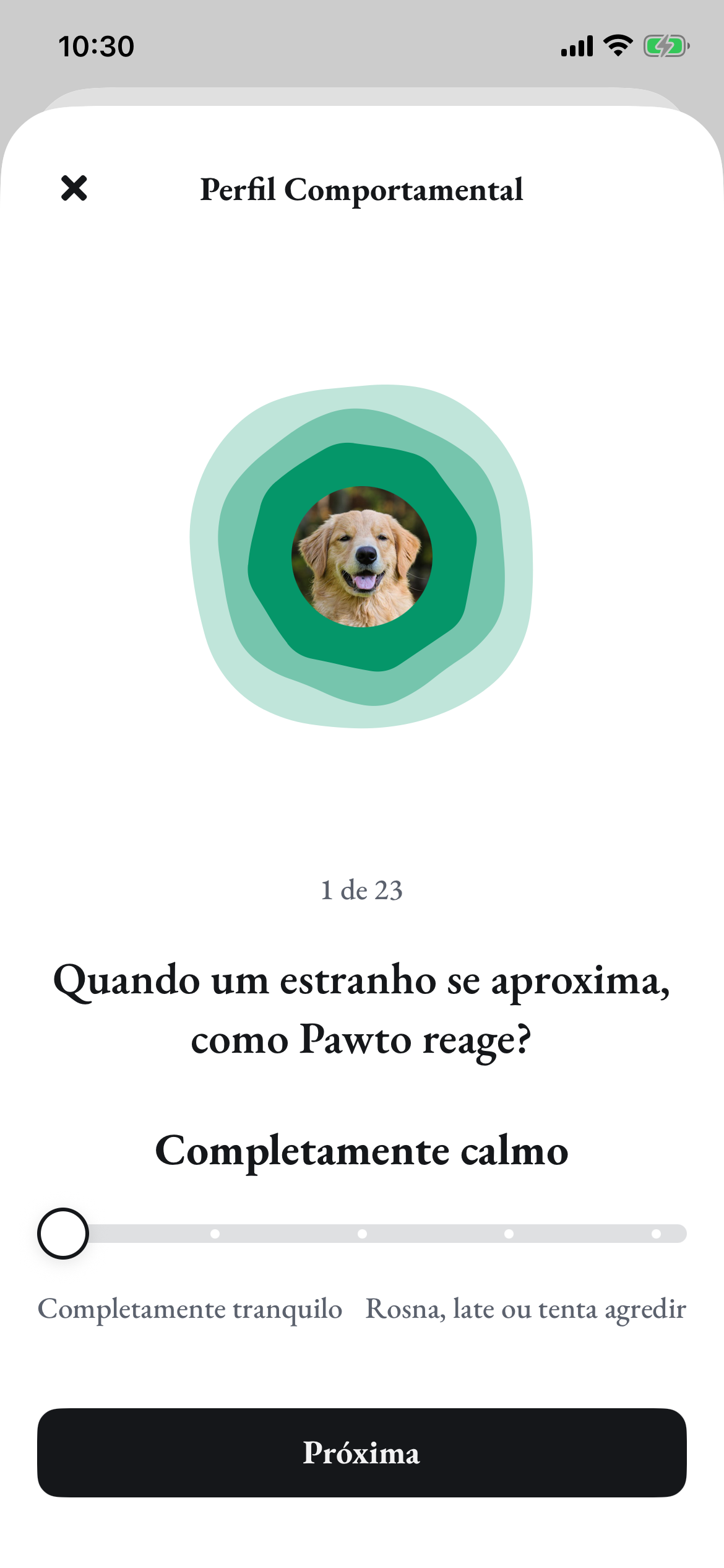 A primeira das 23 perguntas sobre o Pawto: como ele reage quando um estranho se aproxima