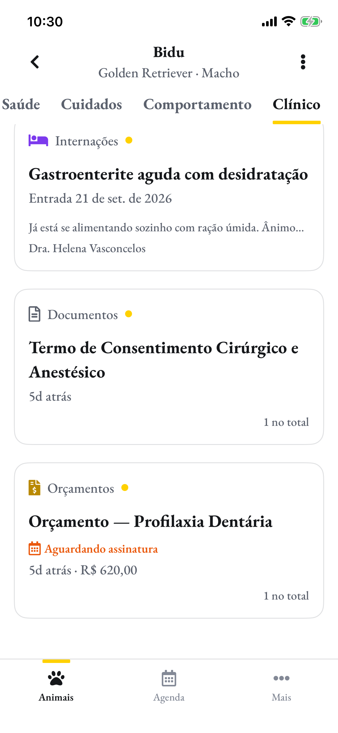 A aba Clínico do Bidu no app do tutor: a internação, o termo e o orçamento que a clínica enviou