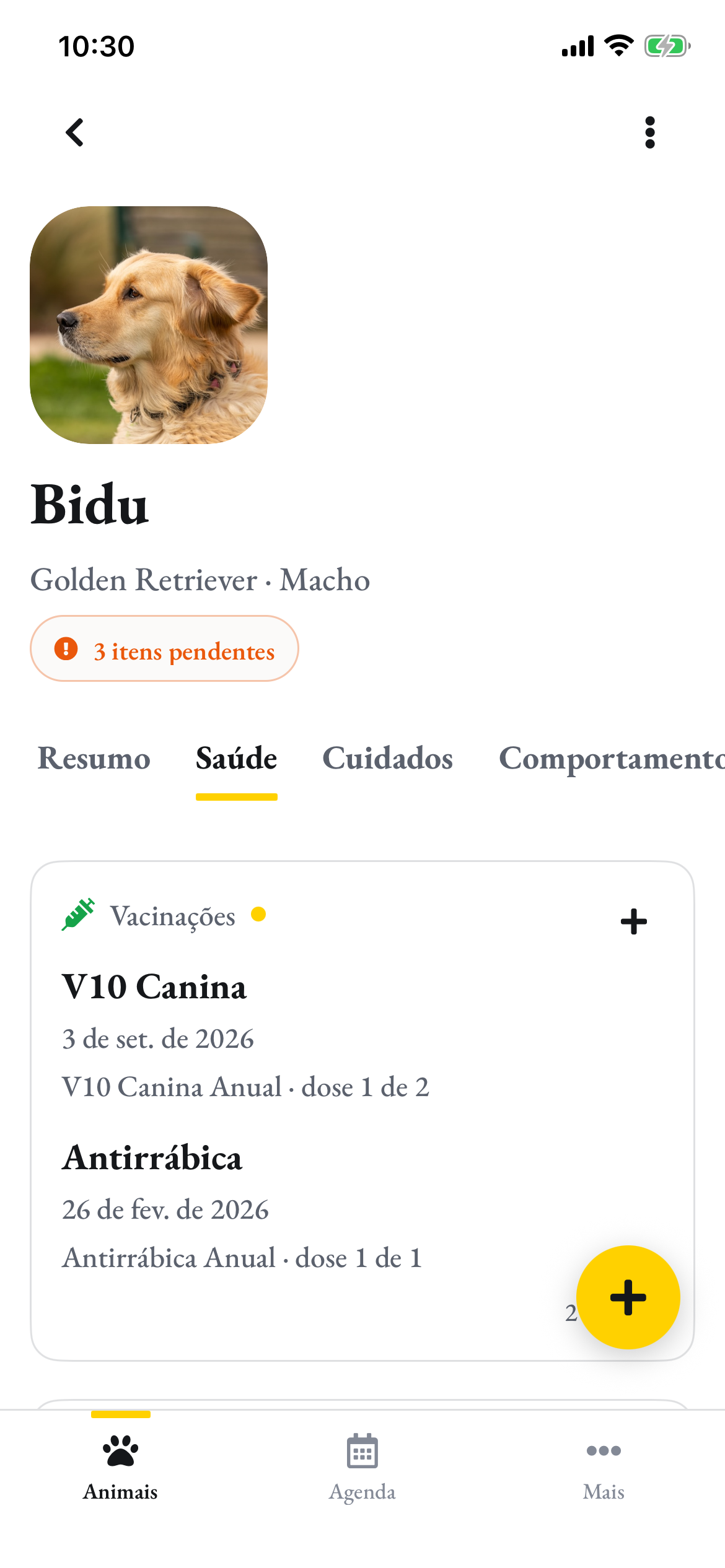 O perfil do Bidu na aba Saúde, com as vacinas