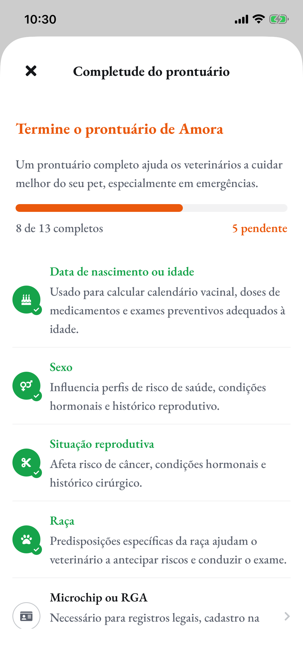 A completude do prontuário da Amora no app: 8 de 13 itens, com o motivo de cada um
