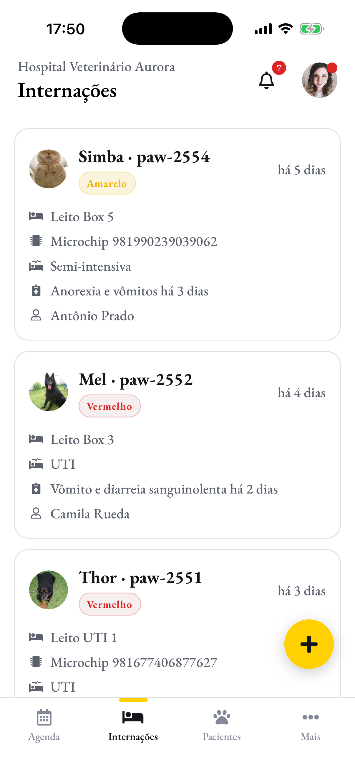 A mesma ala no celular da equipe