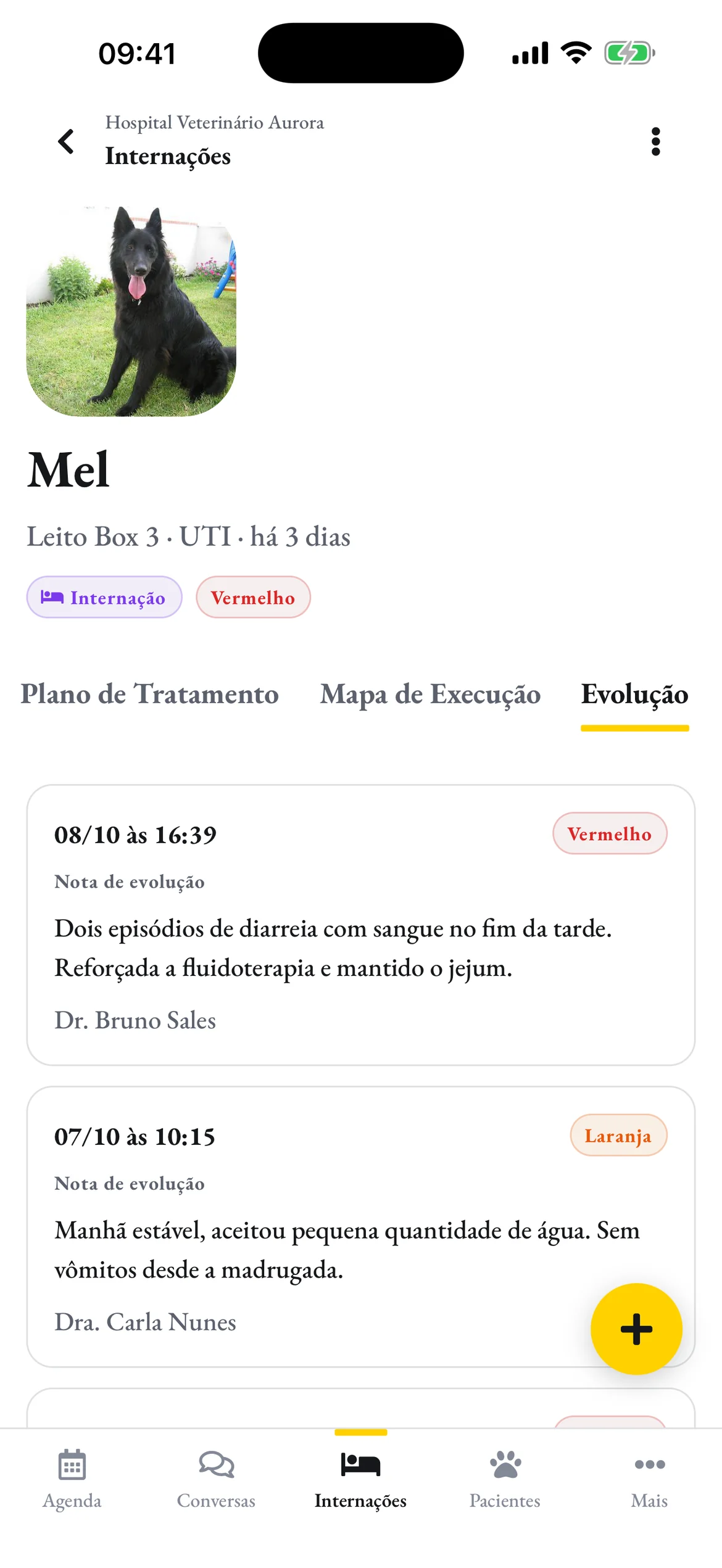 As notas de evolução da Mel, com o risco de cada uma