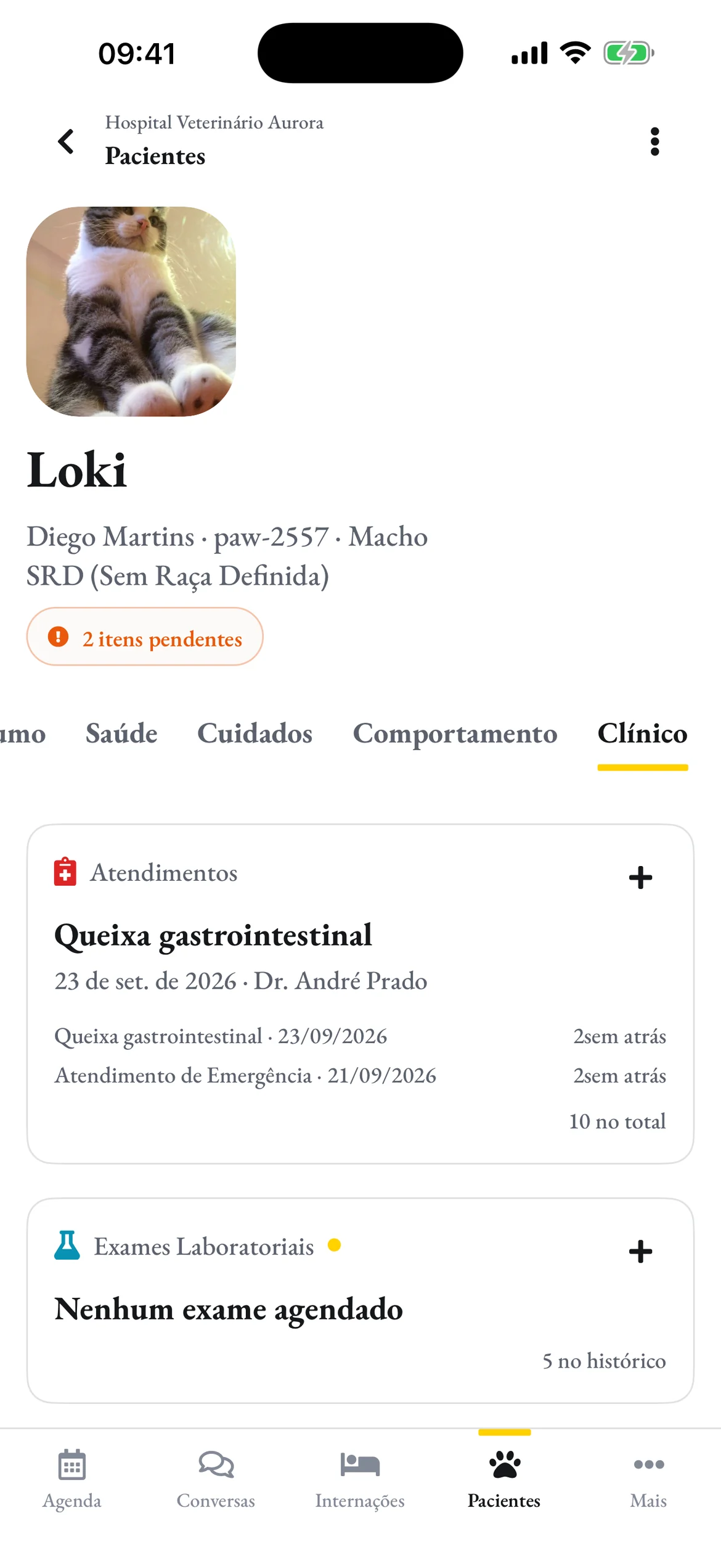 A ficha do Loki no celular da equipe, na aba Clínico, com os atendimentos