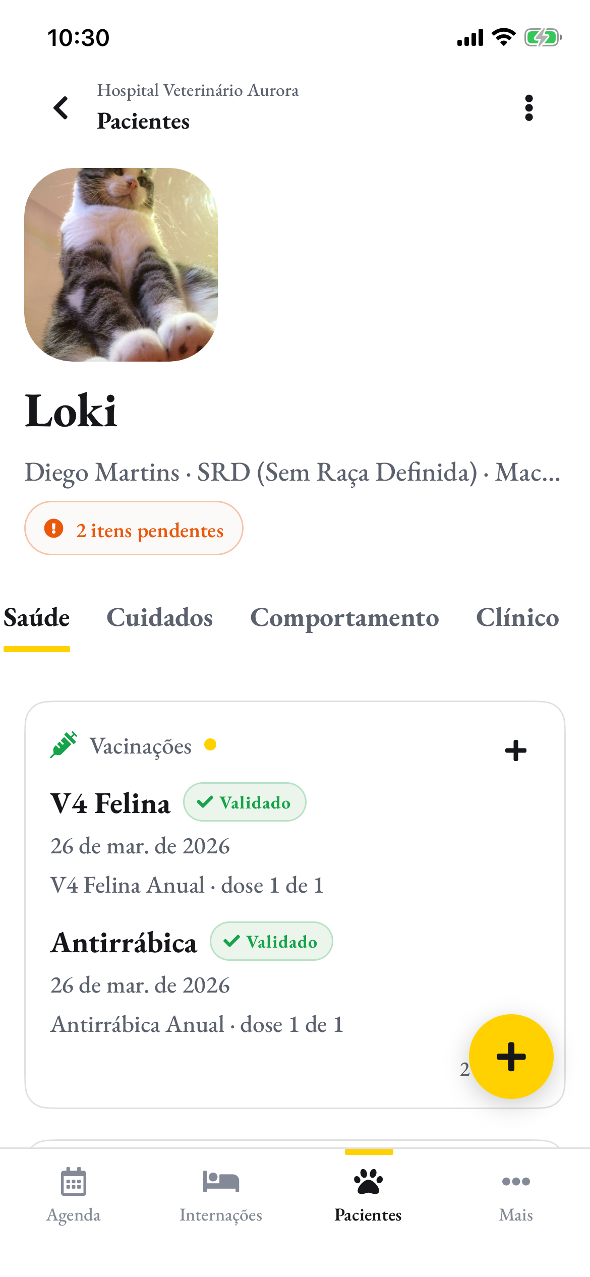 A ficha do Loki no celular, com as vacinas validadas