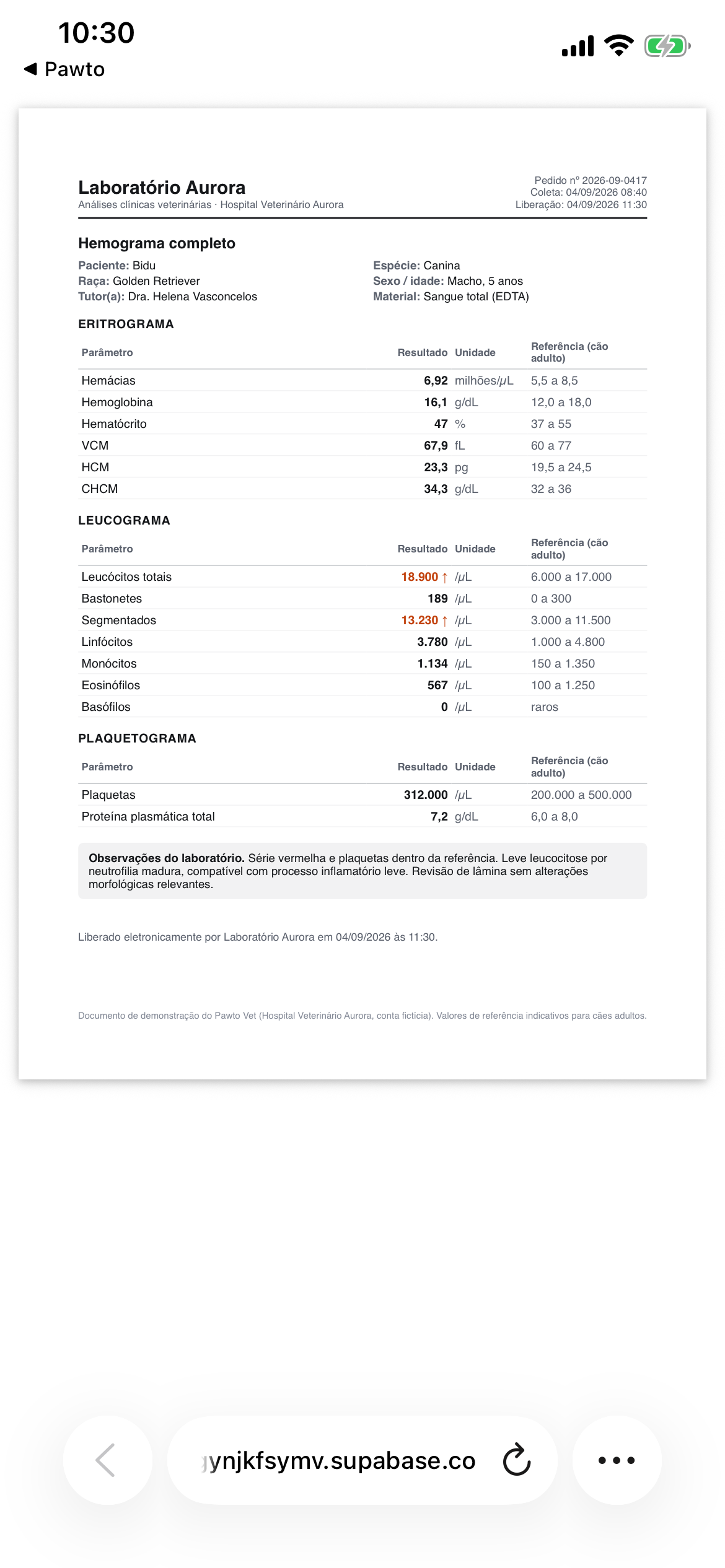 O laudo do hemograma aberto no celular, com os valores de referência