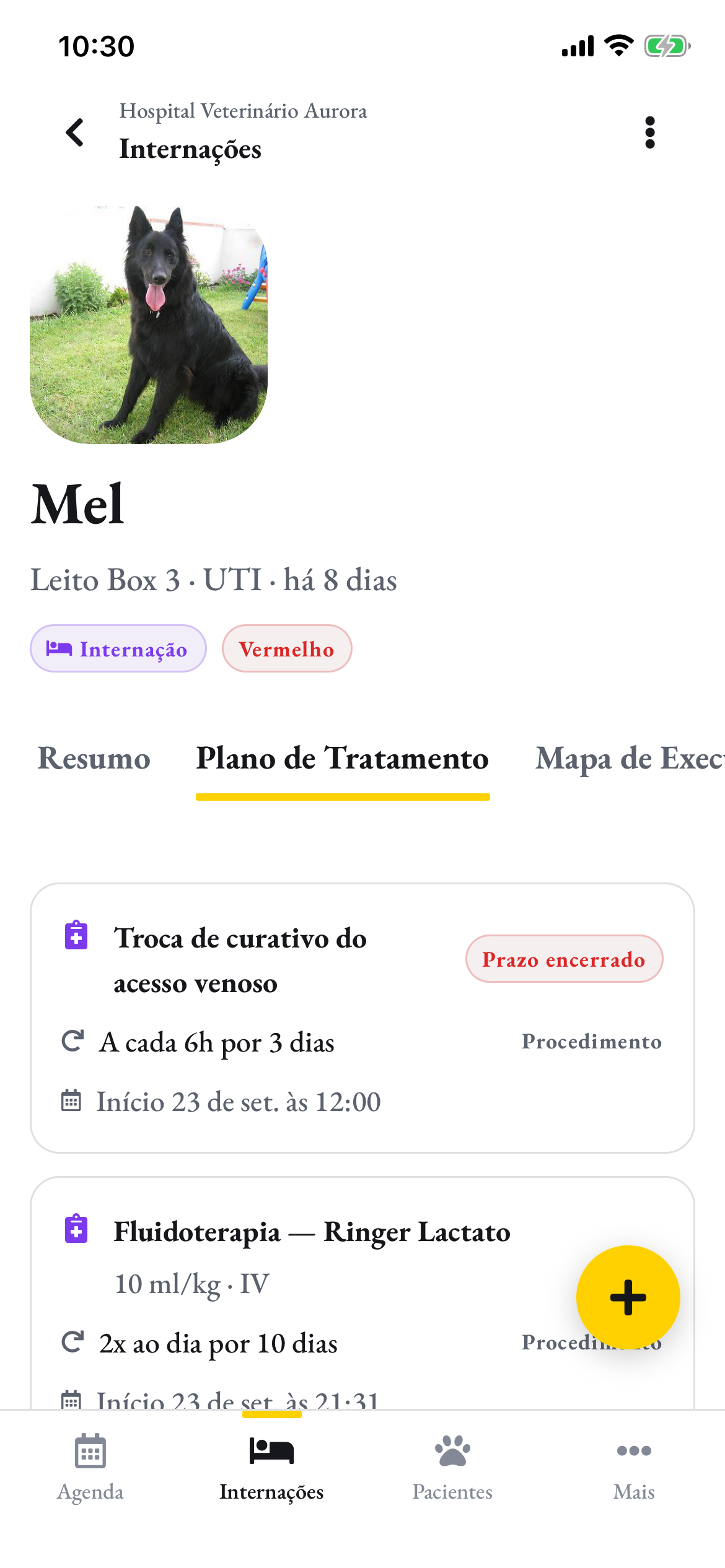 O plano de tratamento da Mel no celular