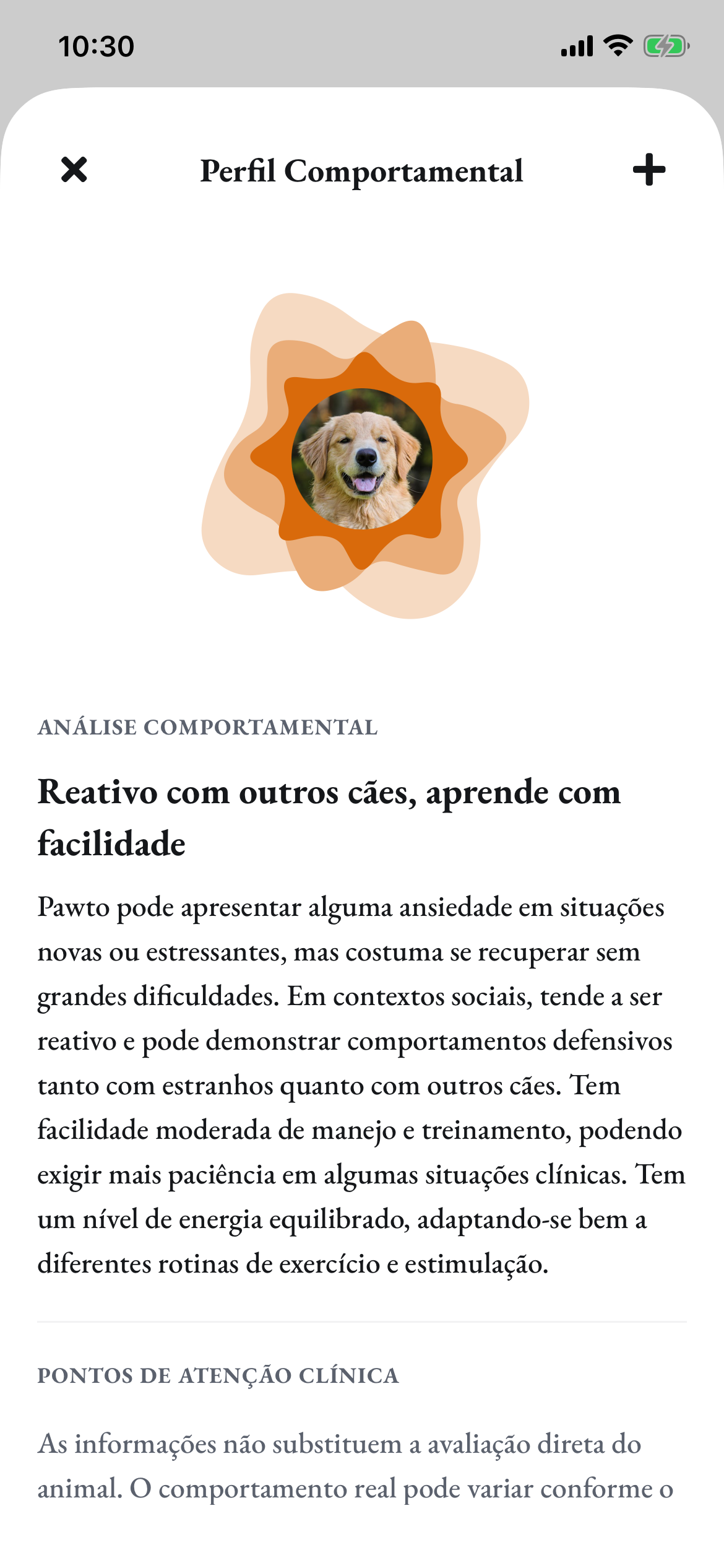 O resultado: reativo com outros cães, aprende com facilidade