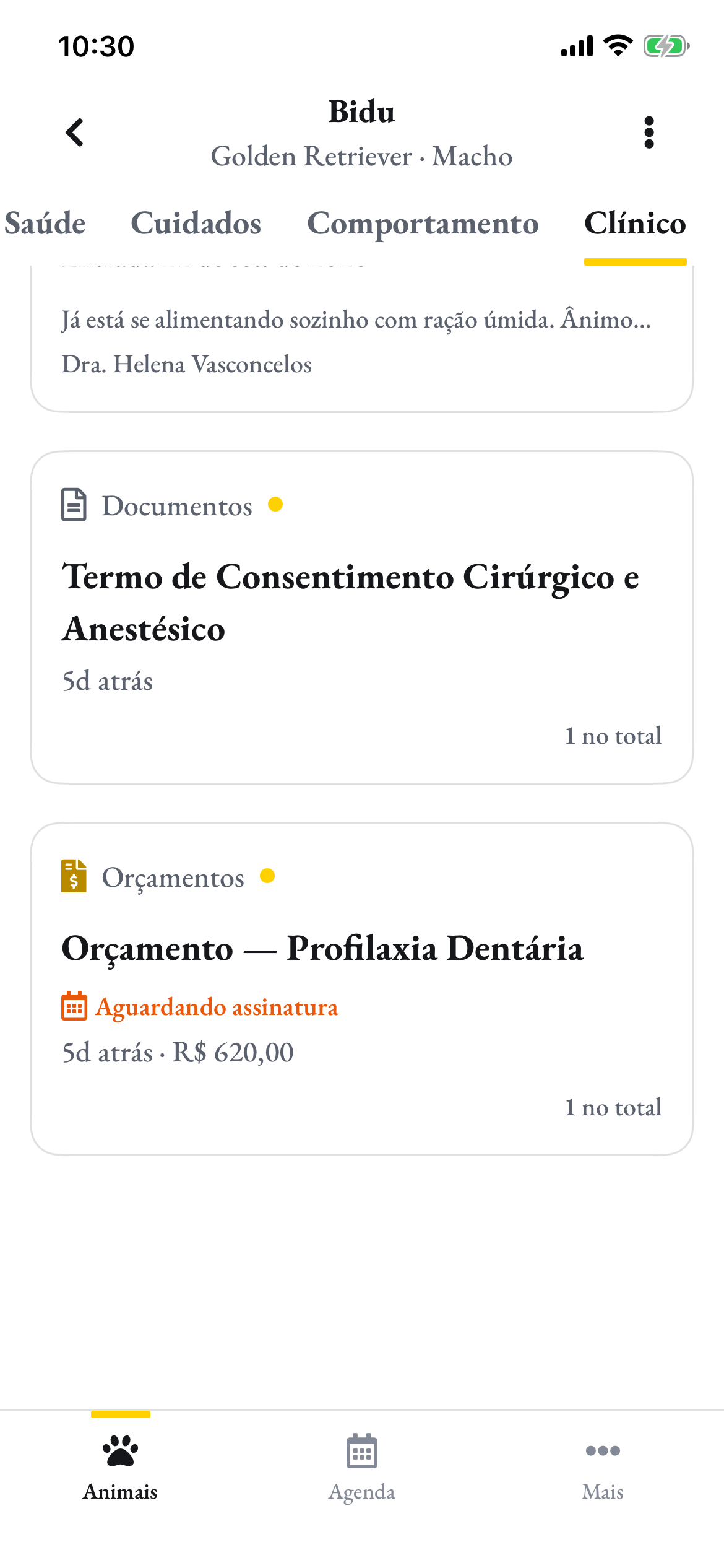 A aba Clínico do Bidu no app do tutor: o orçamento aguardando assinatura