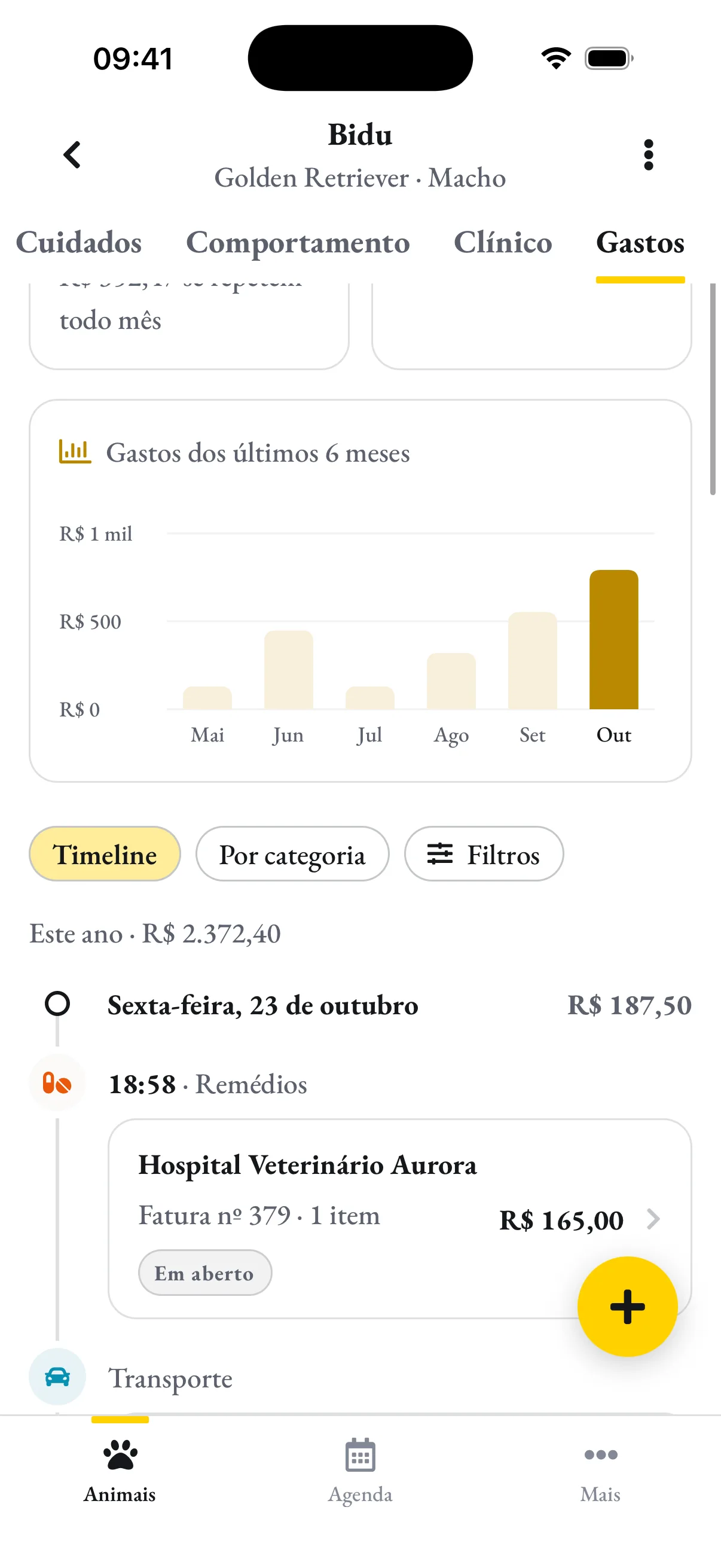 O gráfico dos últimos seis meses e a fatura da clínica dentro de Gastos