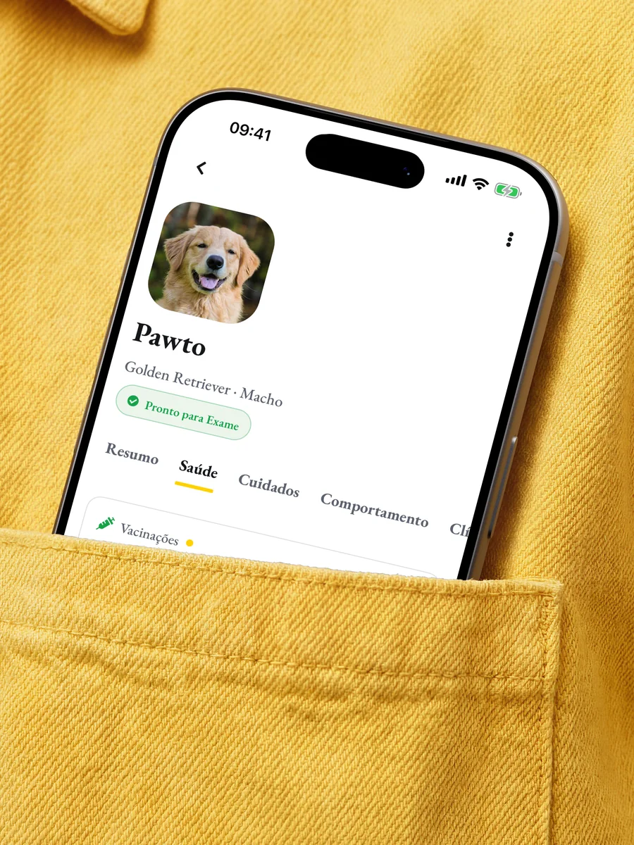 Um celular no bolso da camisa, aberto no perfil do Pawto, golden retriever, pronto para exame
