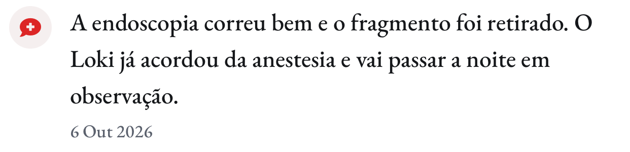 Atualização do dia 6: a endoscopia correu bem e o Loki já acordou da anestesia