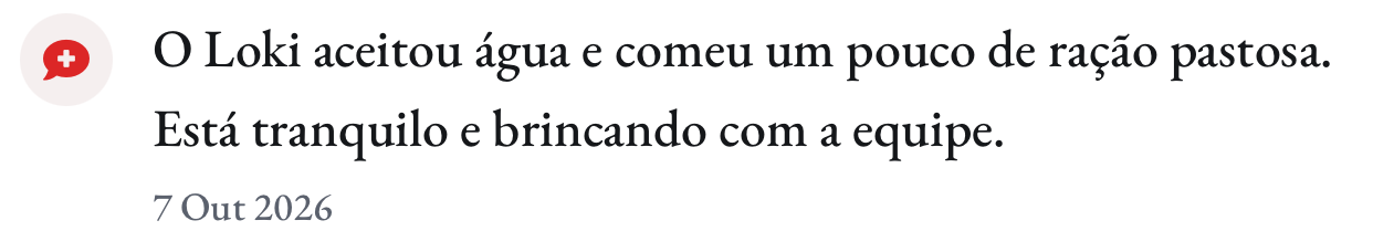 Atualização do dia 7: o Loki aceitou água e comeu um pouco de ração pastosa