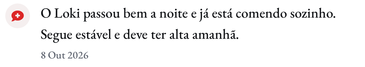 Atualização do dia 8: o Loki passou bem a noite e deve ter alta amanhã
