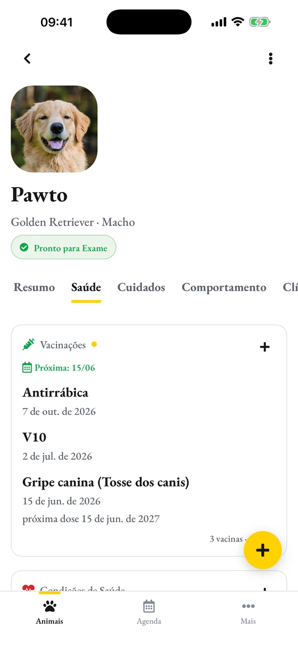 O perfil do Pawto, golden retriever, pronto para exame, na aba Saúde