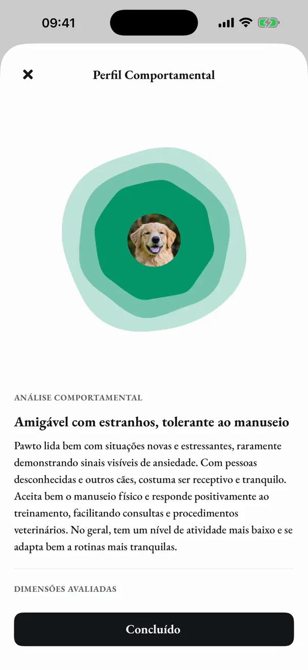 O resultado do Pawto: amigável com estranhos, tolerante ao manuseio