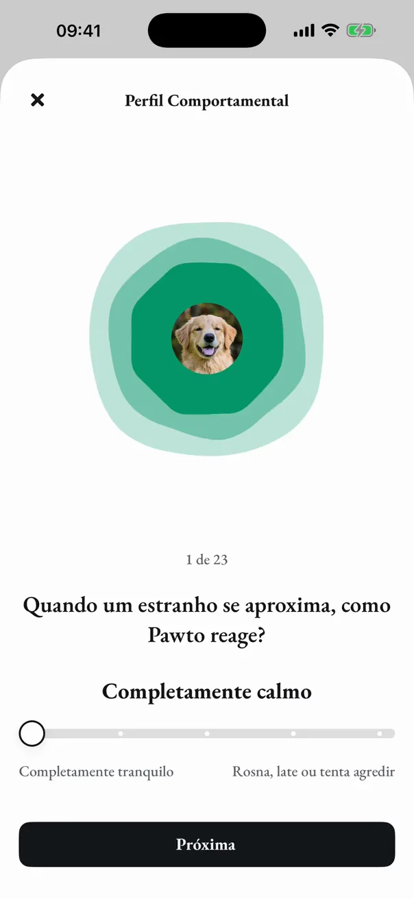 O questionário de temperamento do Pawto, com a foto dele no centro da ilustração
