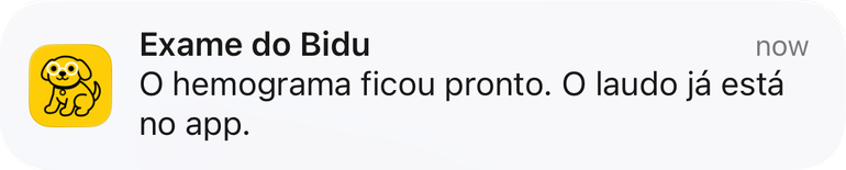 Aviso no celular: Exame do Bidu, o hemograma ficou pronto