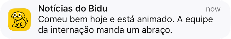 Aviso no celular: Notícias do Bidu, comeu bem hoje e está animado