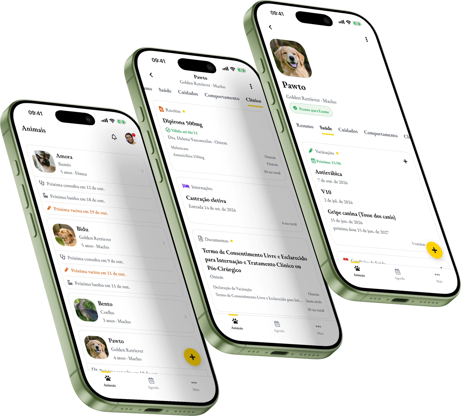 O app do Pawto em três celulares: a lista de animais, a aba Clínico e a aba Saúde