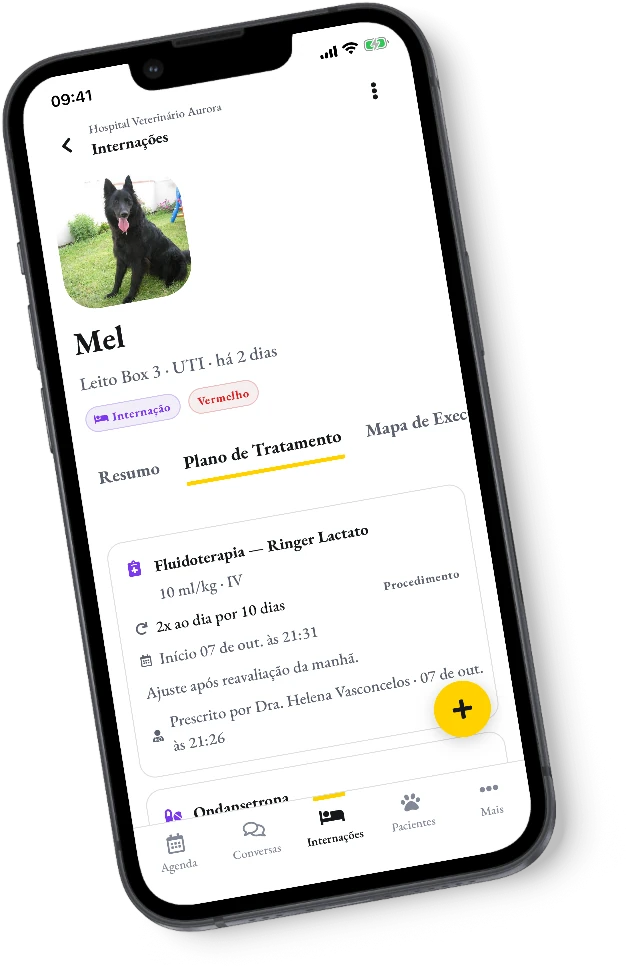 O plano de tratamento da Mel, internada, no celular da equipe