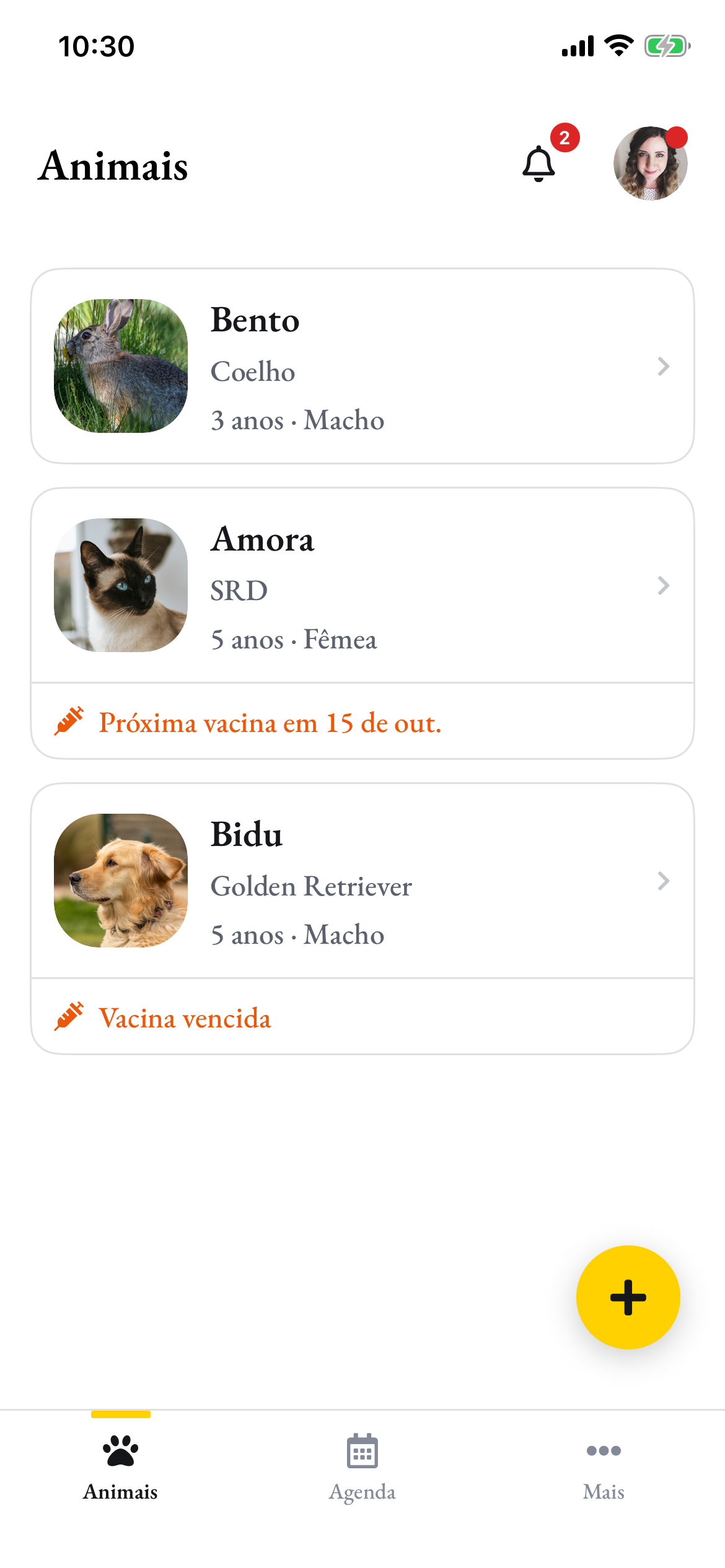 Os animais da tutora no Pawto: o Bento, um coelho, a Amora e o Bidu