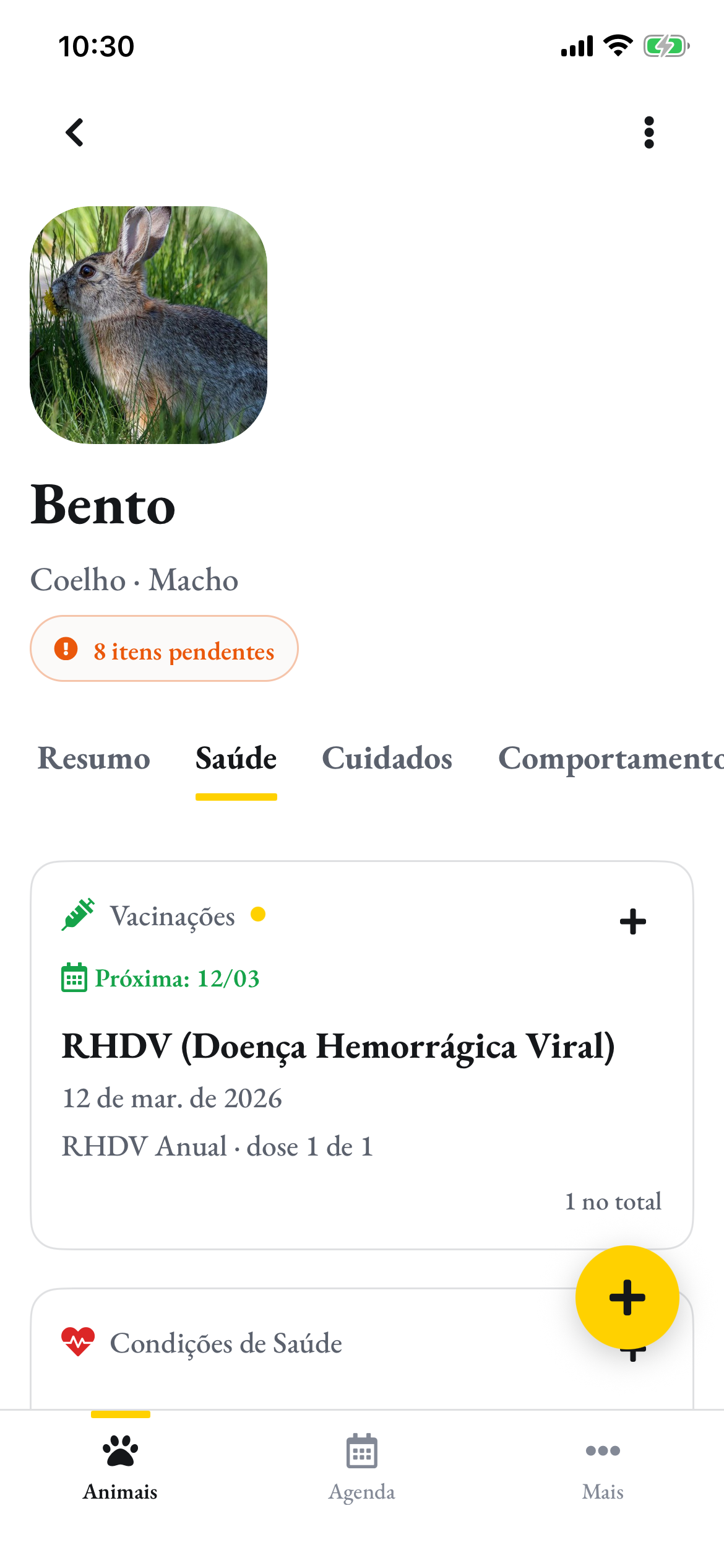 A vacina do Bento contra a doença hemorrágica viral, com a próxima dose em março