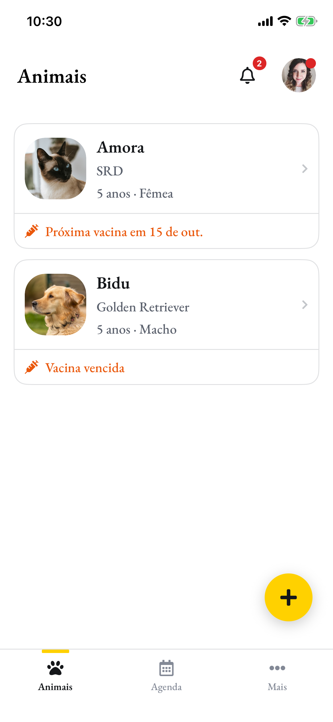 A tela inicial do Pawto: a Amora com a próxima vacina em 15 de outubro e o Bidu com vacina vencida